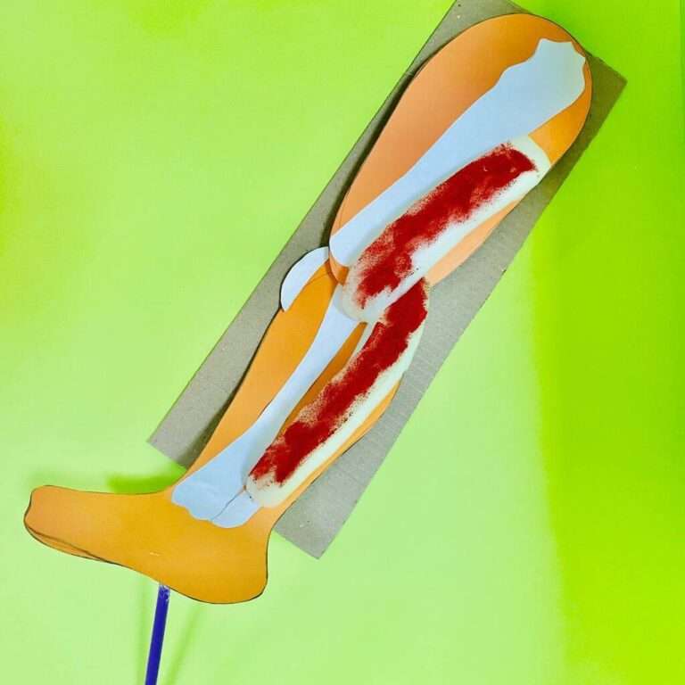 Анатомическая модель ноги