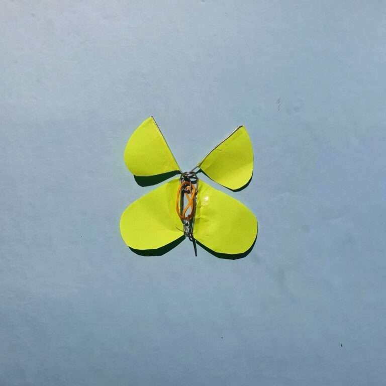 Летающая бабочка