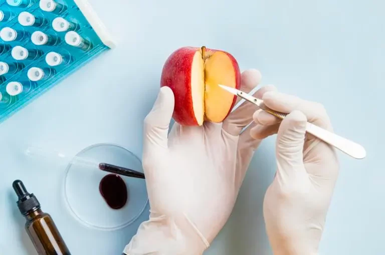 Лабораторная работа №6. «Влияние этилена на созревание плодов»