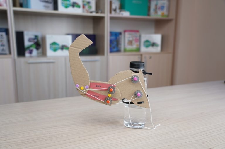 Лабораторная работа №7 «Регуляция мышечных движений руки»