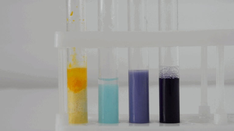 Лабораторная работа №2: «Определение содержания белков в биологических обьектах»