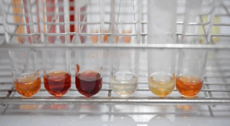 Лабораторная работа №3: «Изучение смещения динамического равновесия под действием различных факторов»