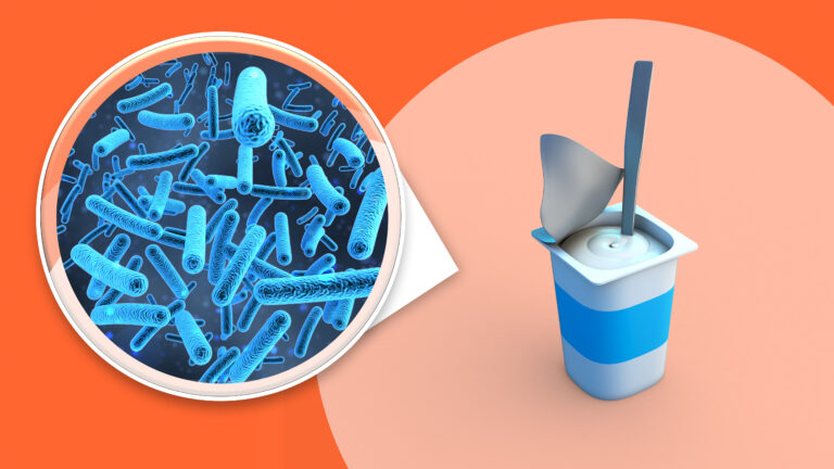 Лабораторная работа №3: «Исследование микрофлоры кисломолочных продуктов на разных питательных средах»