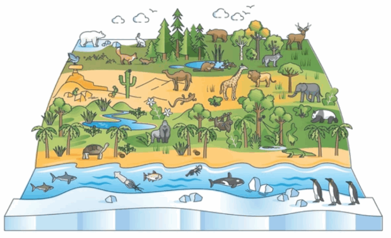 Лабораторная работа №4: «Использование статистических методов в определении численности и распределении организмов экосистемы»