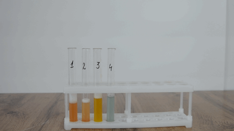Лабораторная работа №1: «Исследование влияния иммобилизации ферментов на их активность»