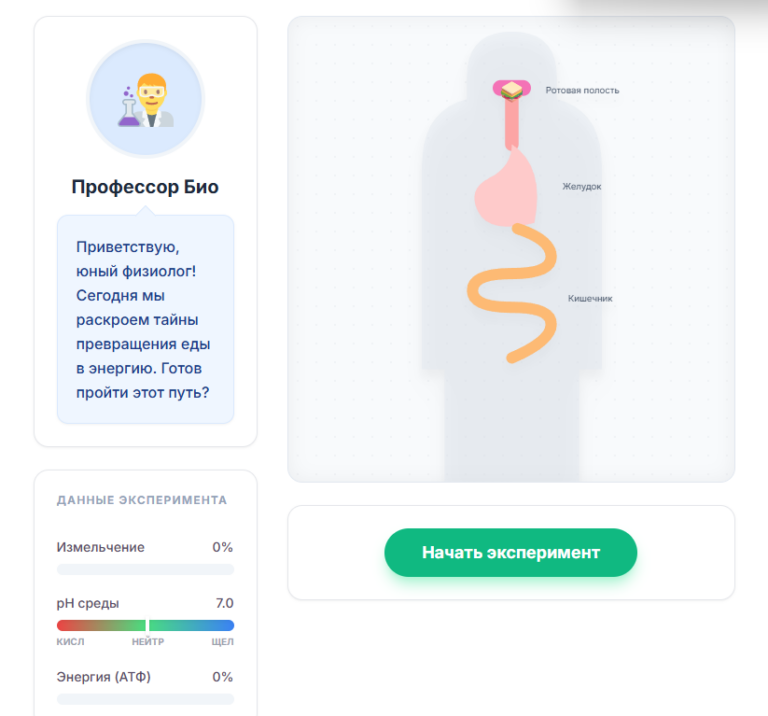 Қоректену