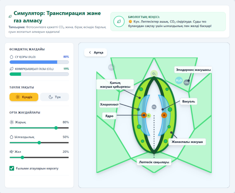 Транспирация және газ алмасу