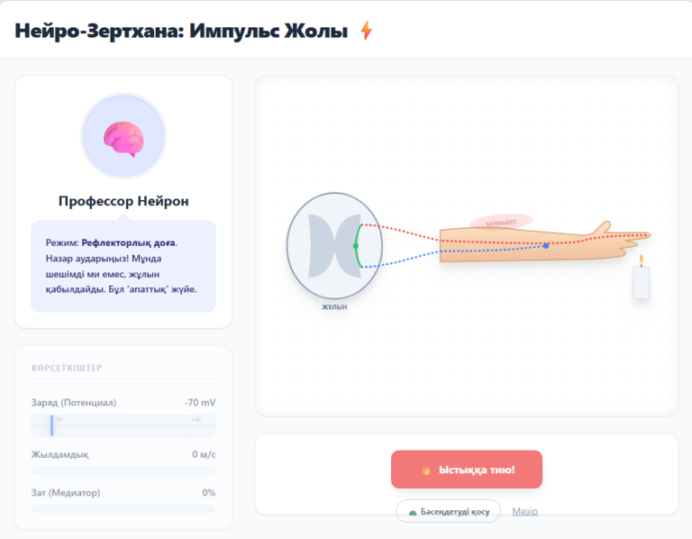 Рефлекторлық доға және рефлекс