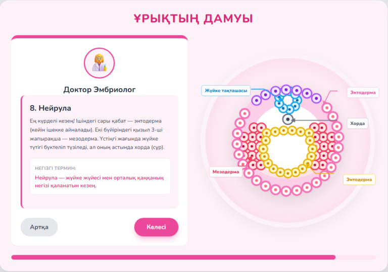 Эмбрионалды даму кезеңдері