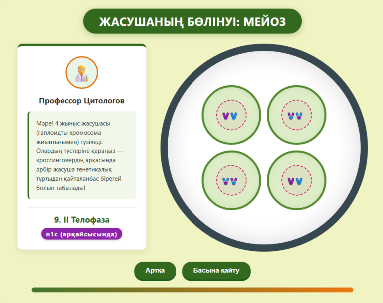 Жасушаның бөлінуі: Мейоз