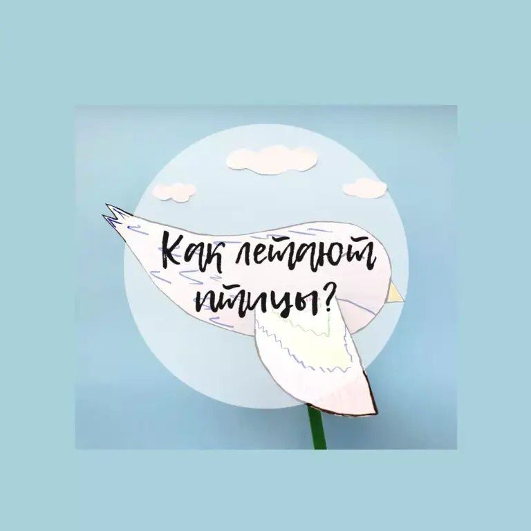 Құстар қалай ұшады?