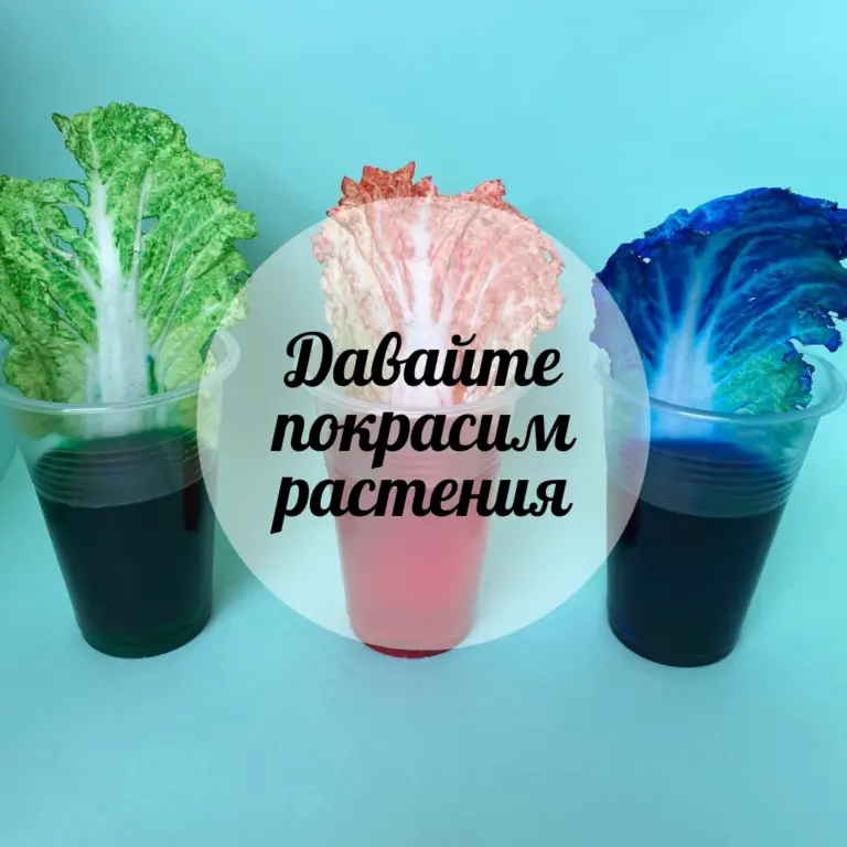 Өсімдіктерді бояйық