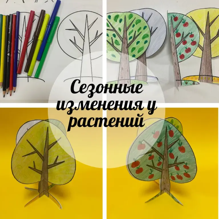 Өсімдіктердегі маусымдық өзгерістер