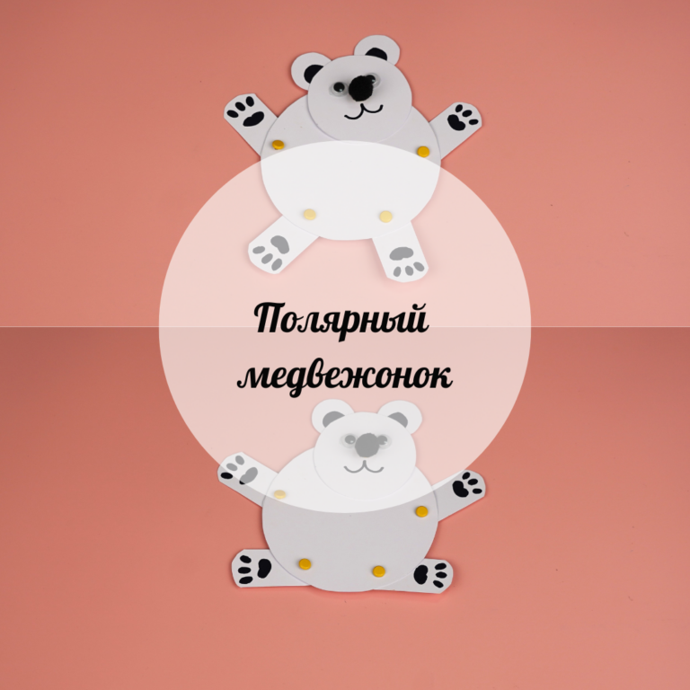 Ақ аю