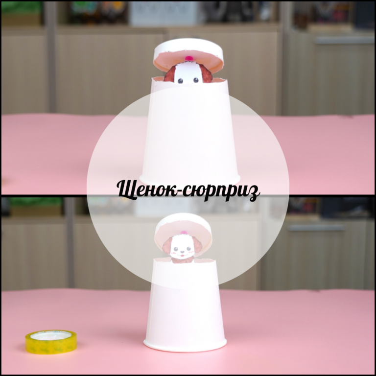 Ұялшақ ит
