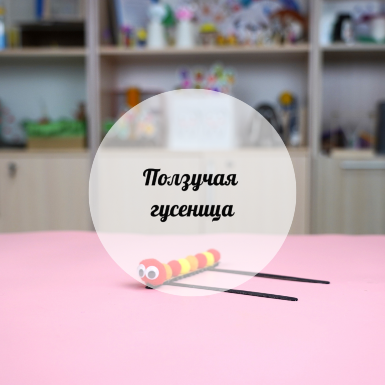 Дамылсыз жұлдызқұрт