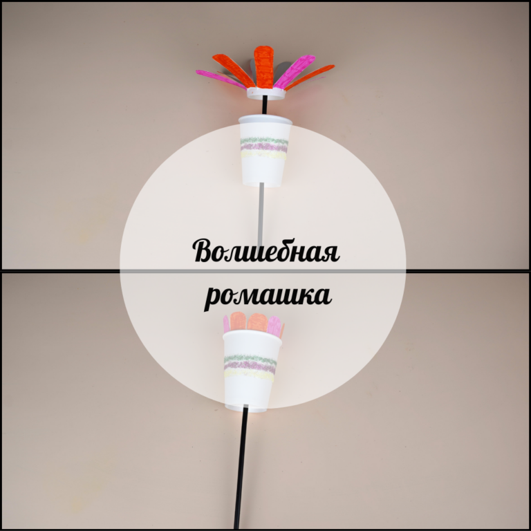 Сиқырлы түймедақ